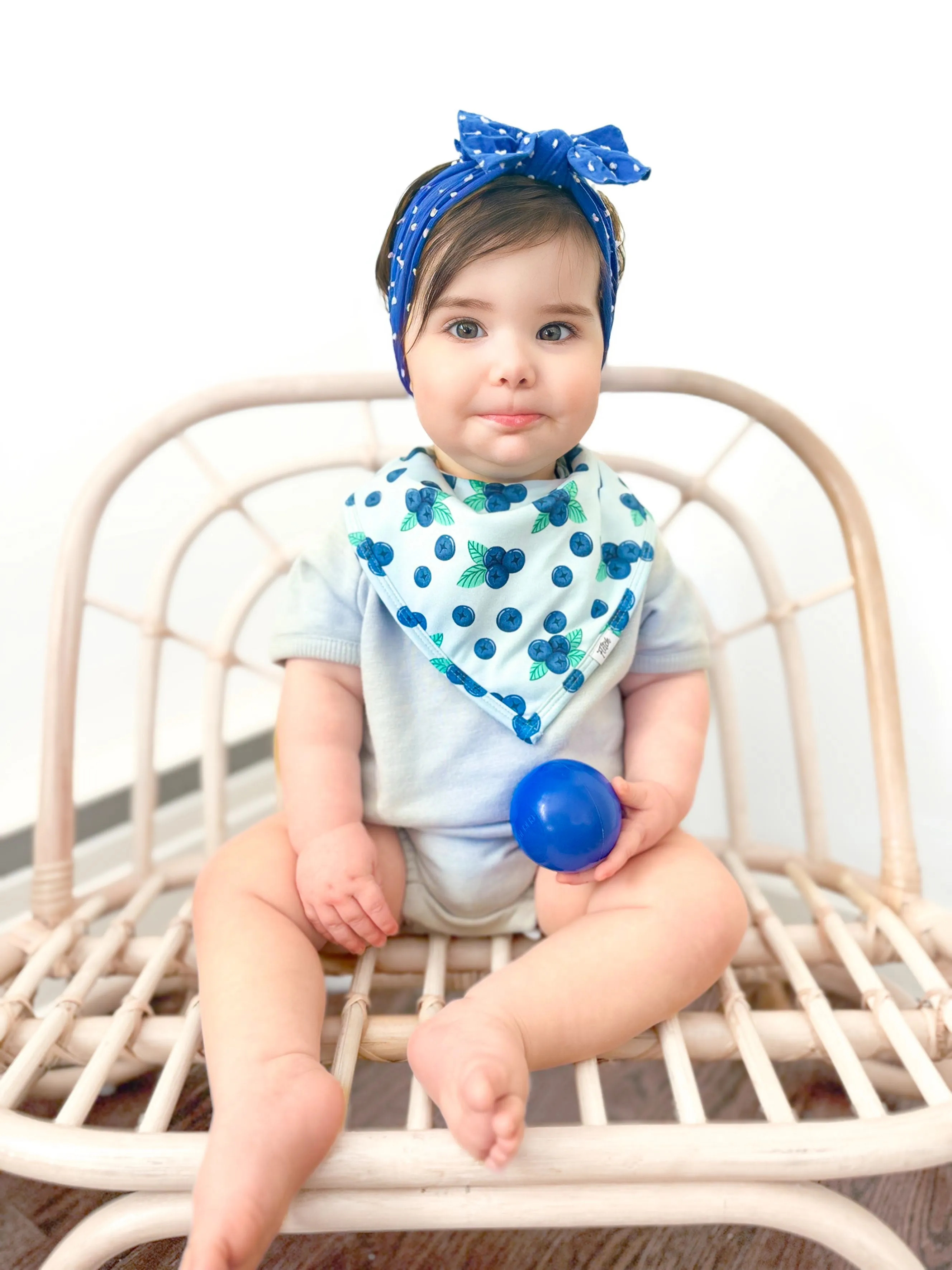 Berry Blue Bib