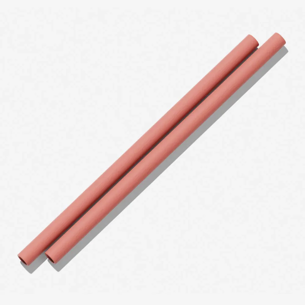 Silicone Straws - Clay