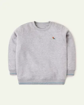 Solid Grey Sweatshirt